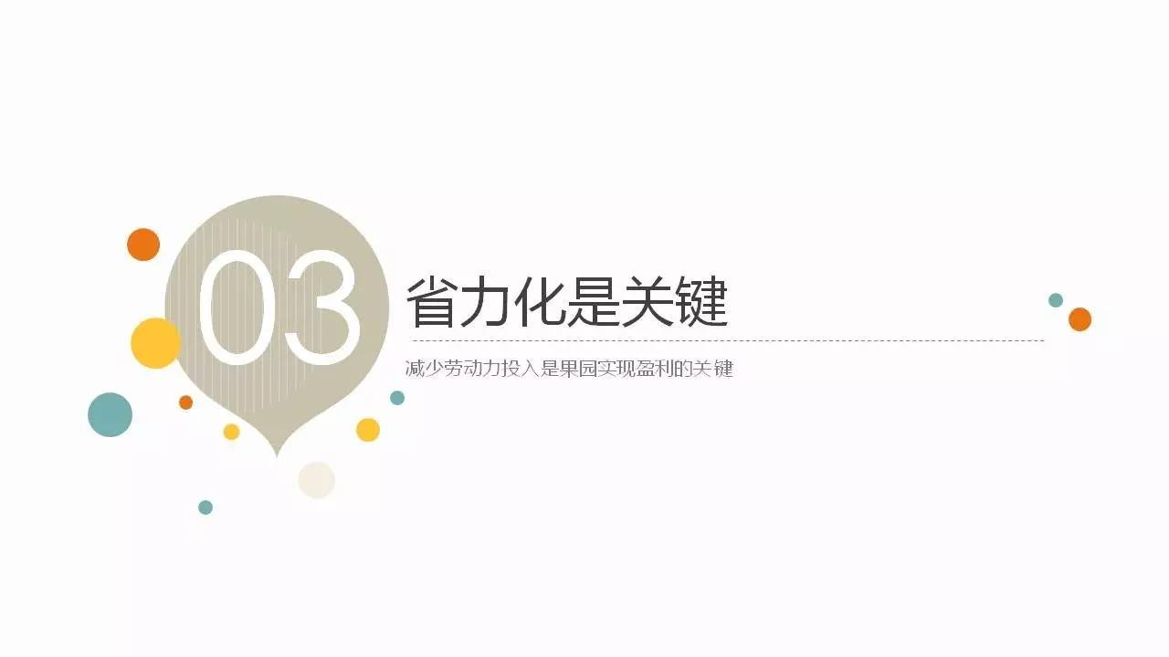 知乎：新奥彩2024年免费资料查询-天罗地网是什么生肖  第2张