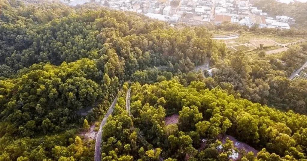 中新网:2823澳门新资料大全免费-斗南花卉市场怎么去  第3张