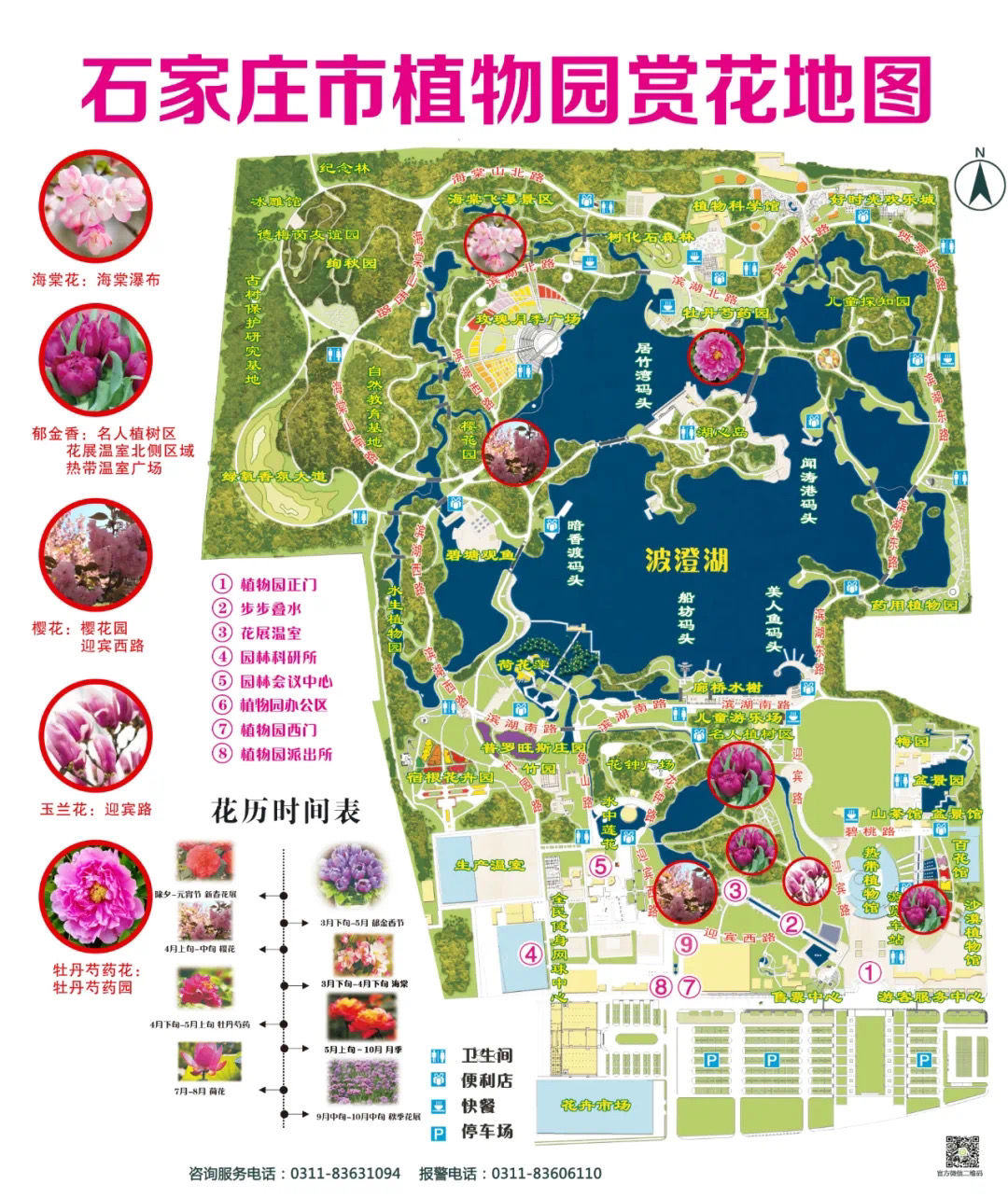 腾讯：新澳门王中王资料-去石家庄植物园怎么走  第2张