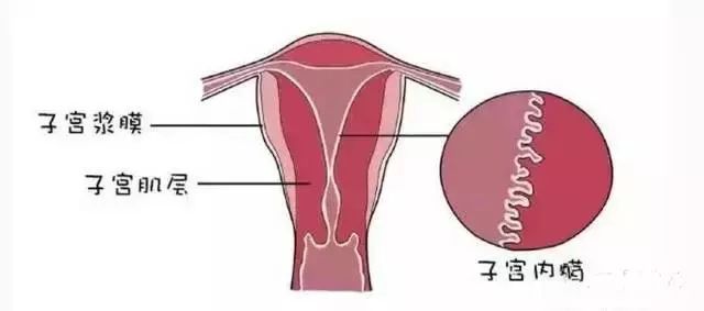 网易:新澳彩资料免费公开-子宫内膜增厚是什么原因  第3张