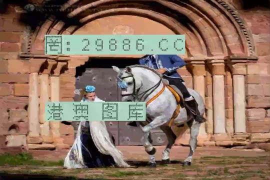 网易:管家婆2023正版资料免费澳门-john是什么意思人名  第1张