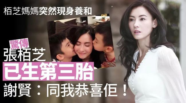微博:二四六香港免费开奖记录-《金猪玉叶》太会搞政治内涵了  第2张