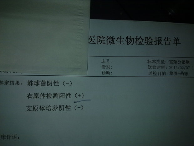 微博订阅:香港内部公开资料最准下载-衣原体检查是什么  第1张