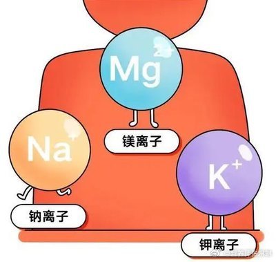 知乎：2024澳门今晚开奖号码-身体缺钾是什么原因造成的  第1张