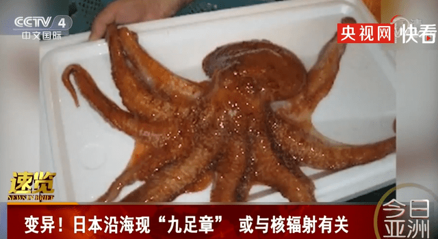 腾讯：2024澳门新资料大全免费-日本出现巨型章鱼  第1张