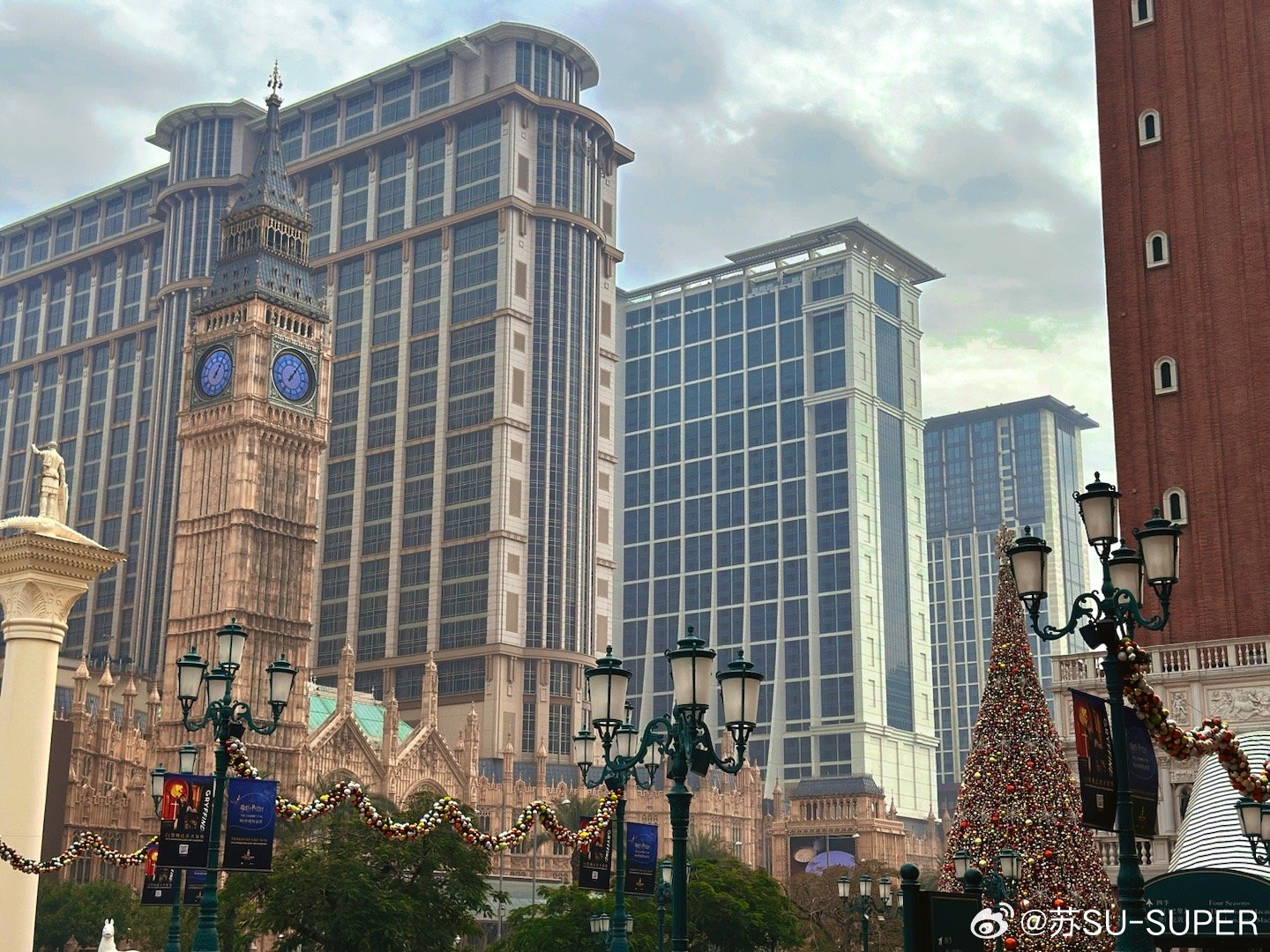 抖音视频:2024澳门历史开奖记录-万年青是什么菜  第1张