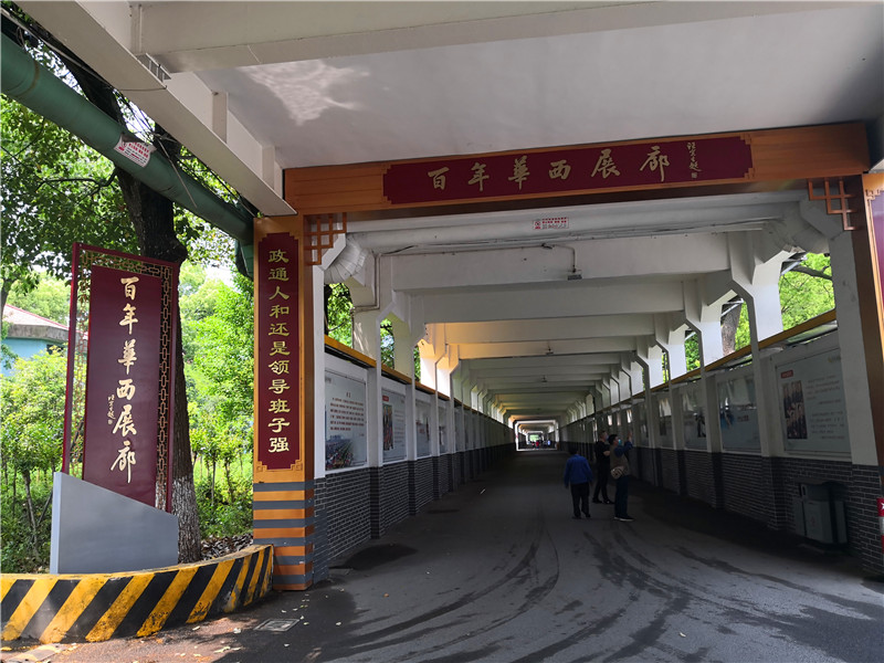 火山视频:新奥资料免费精准新奥生肖卡-《我才不要和你做朋友呢》总票房破9000万  第2张