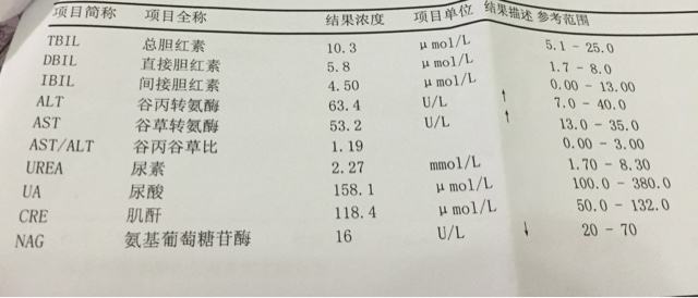 小红书:2024管家婆正版六肖料-谷丙转氨酶偏高是什么意思  第1张
