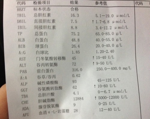 小红书:2024管家婆正版六肖料-谷丙转氨酶偏高是什么意思  第3张