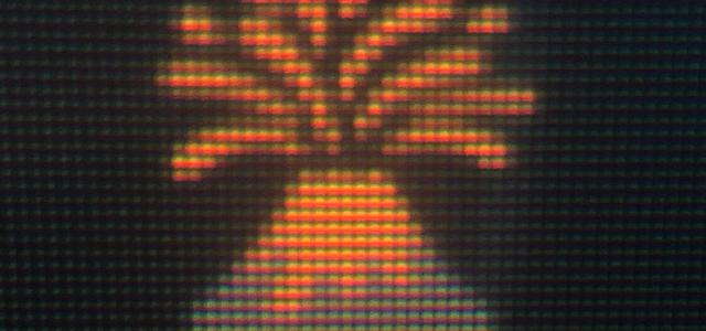 阿里巴巴:黄大仙精准内部三肖三码-phoenix是什么意思  第3张