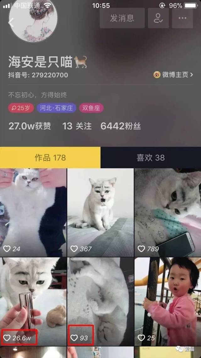 抖音视频:王中王最准一肖100免费公开-梦见朋友怀孕了是什么意思  第3张