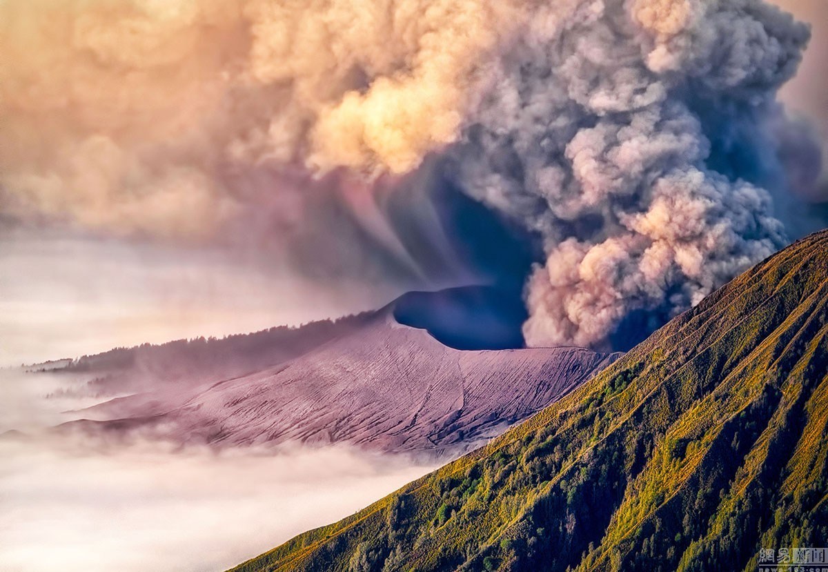火山视频:管家婆2024年正版资料大全-投诉电话怎么打  第3张
