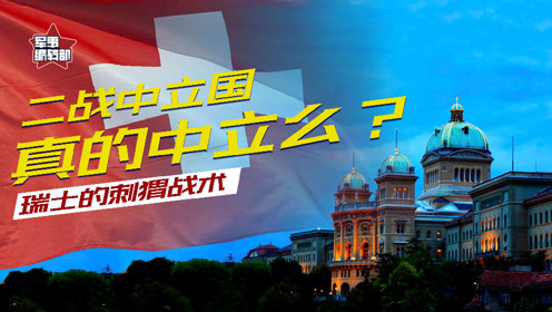 中新网:新澳门最准三中三免费网站-瑞士3-1匈牙利取开门红  第2张