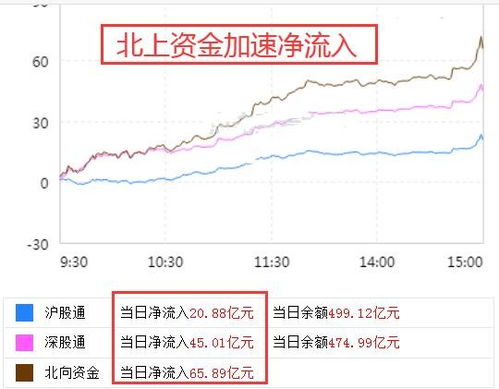 知乎：香港正版内部资料大公开-熊市和牛市是什么意思  第2张