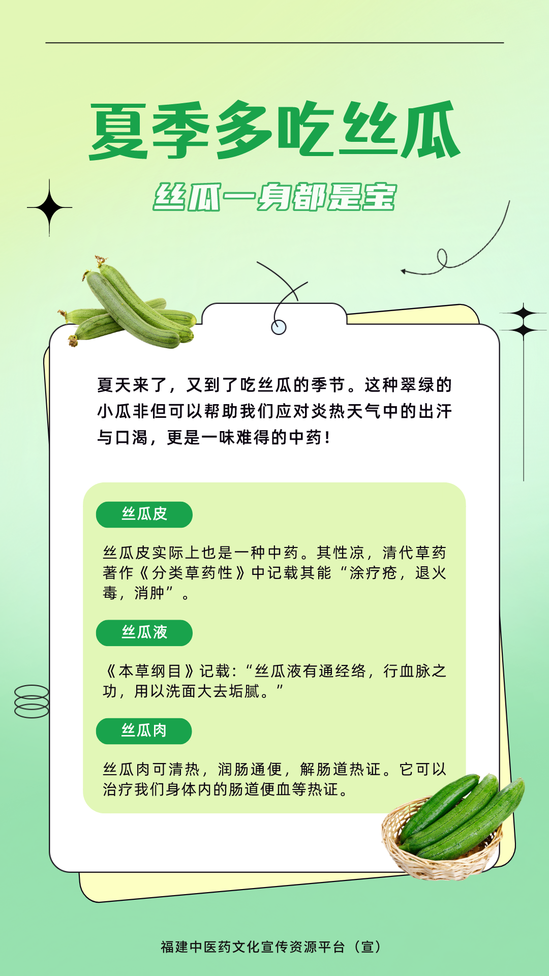 小红书:2024全年资料免费大全-丝瓜怎么做最好吃  第2张