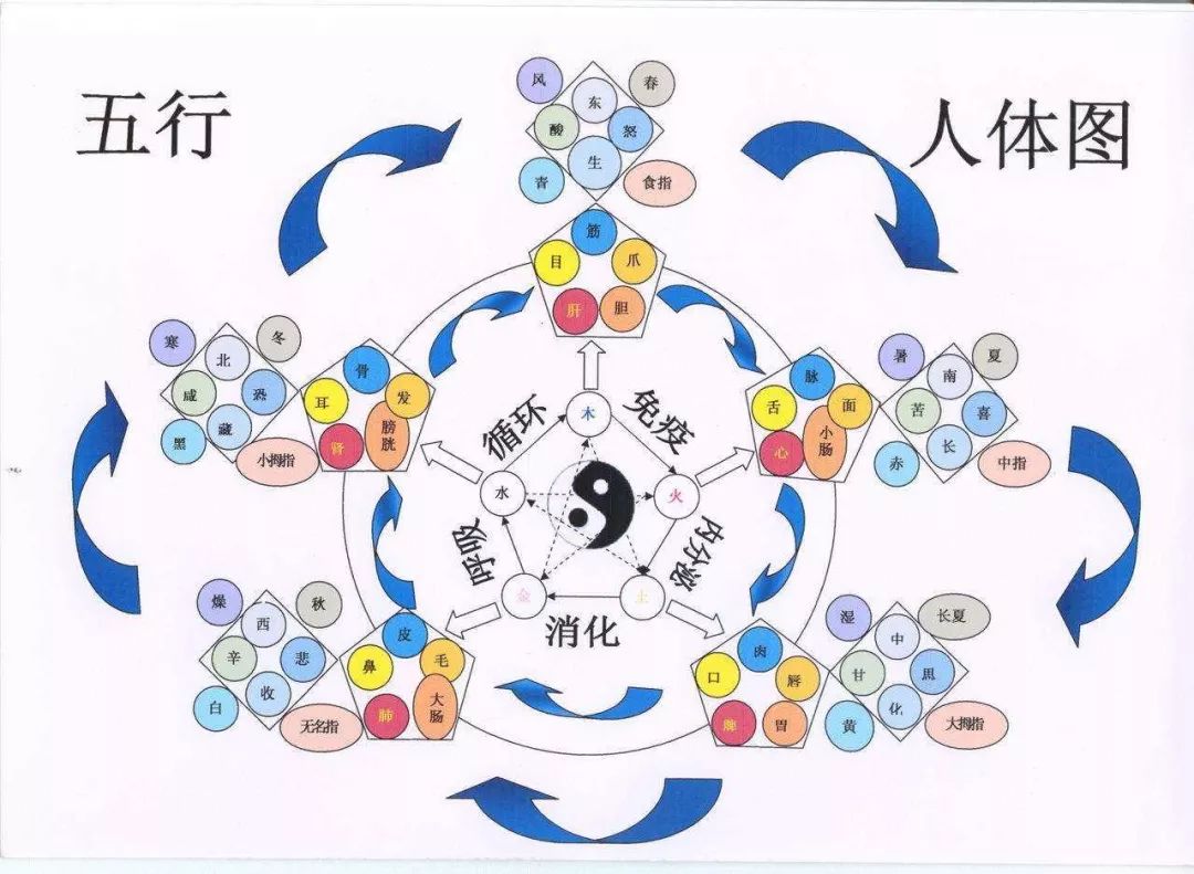 百家号:新奥门资料大全正版资料2024-免费测八字五行缺什么  第3张