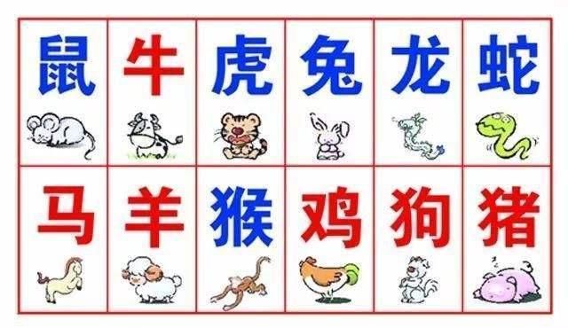 搜狐订阅：今晚澳门开准确生肖12月4日-violet是什么意思  第1张