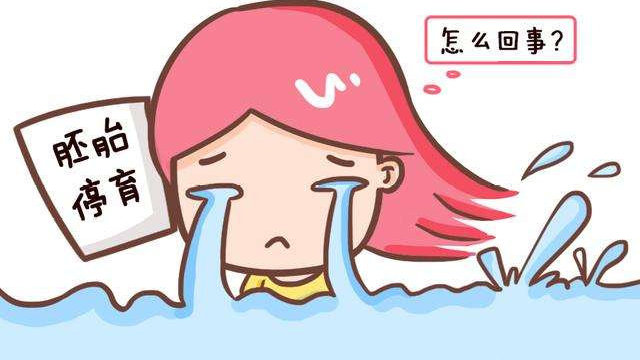 阿里巴巴:马会澳门正版资料查询-胎停有什么症状  第1张