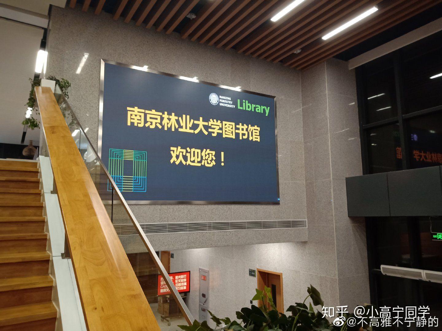 百度平台:王中王一肖一特一中-南京林业大学怎么样啊  第2张