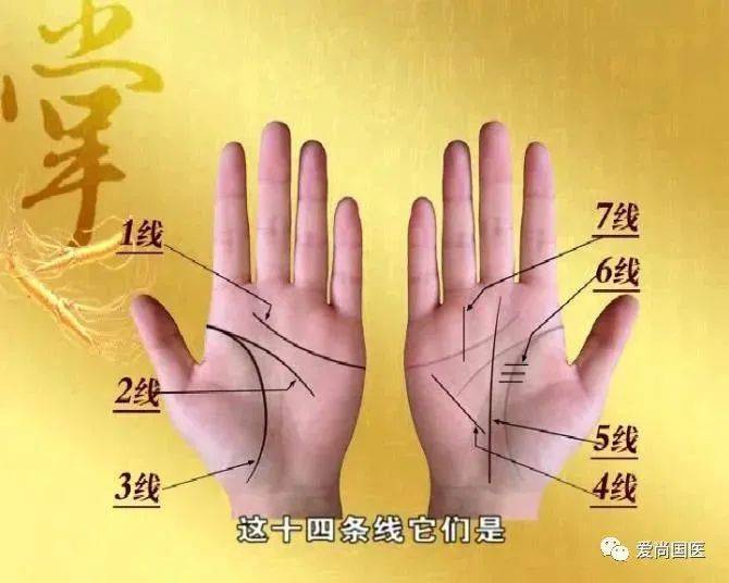 抖音视频:2024澳门资料大全正版资料免费-桎梏是什么意思  第2张