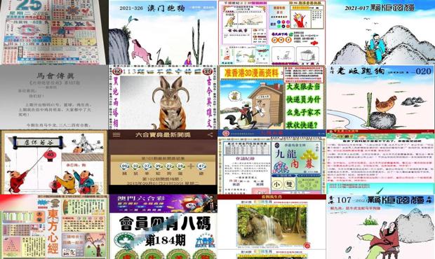 微博订阅:二四六香港天天开彩大全-炖鸽子放什么材料好  第2张