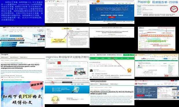 微博订阅:新奥六开彩资料2024在哪下载-ppt怎么插入音乐  第2张