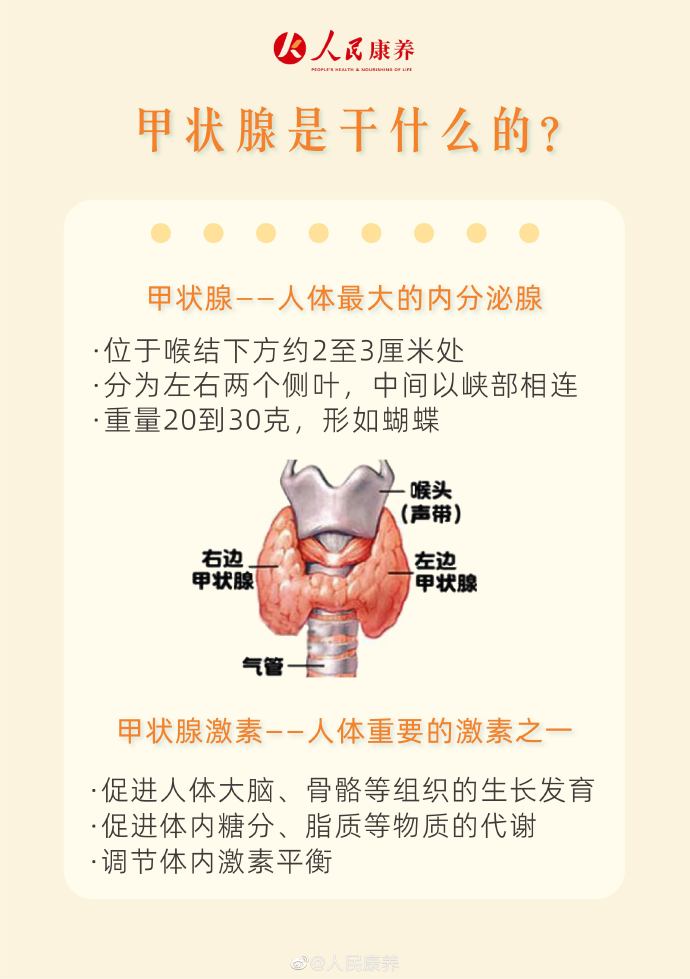 百度平台:精准一码免费公开澳门-甲状腺是一种什么病  第1张