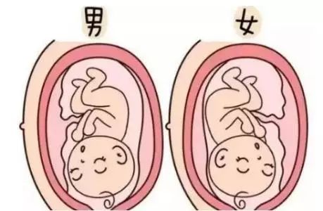 中新网:4949免费资料2024年-胎盘位于前壁是什么意思  第2张