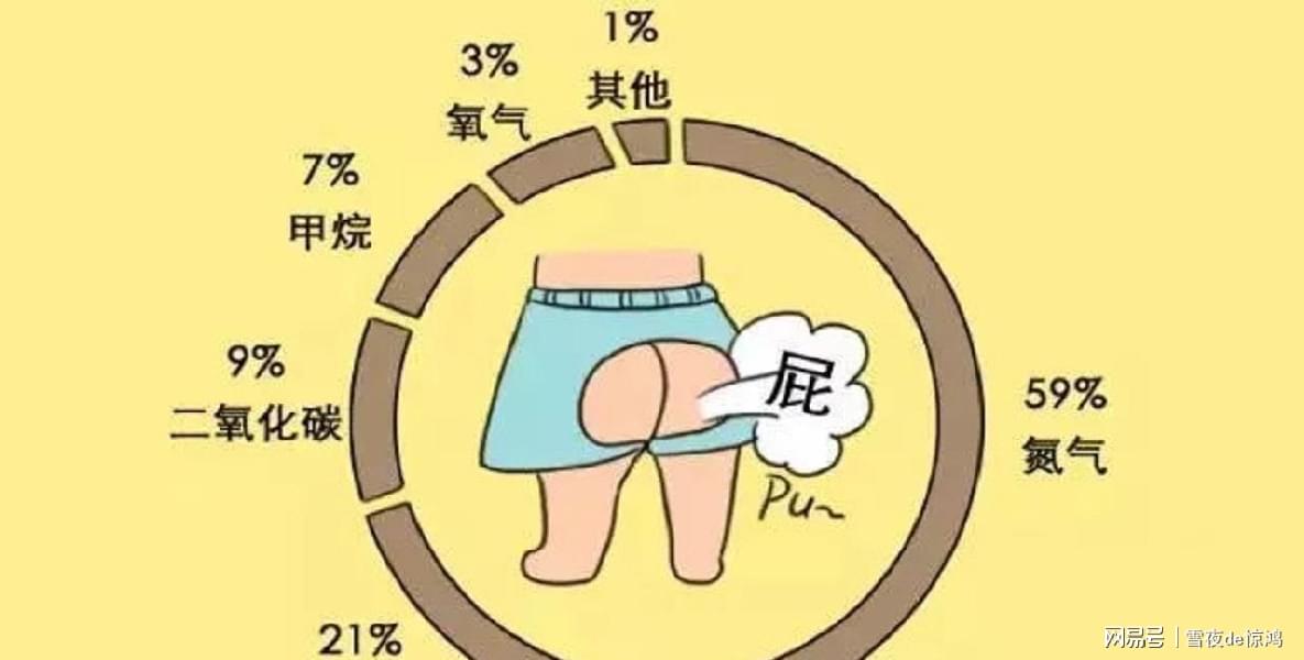 腾讯：2024年澳门一肖一码期期准-老是放屁是什么原因  第3张