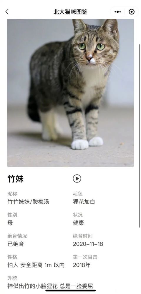 百家号:新澳门4949正版资料大全-猫怎么洗澡  第3张