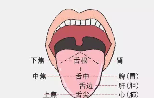 微博订阅:二四六王中王香港资料-舌苔厚腻发白是什么原因  第1张