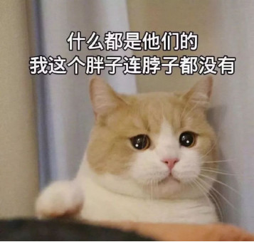 腾讯：2024澳门今天晚上开什么号码-情商高是什么意思  第3张