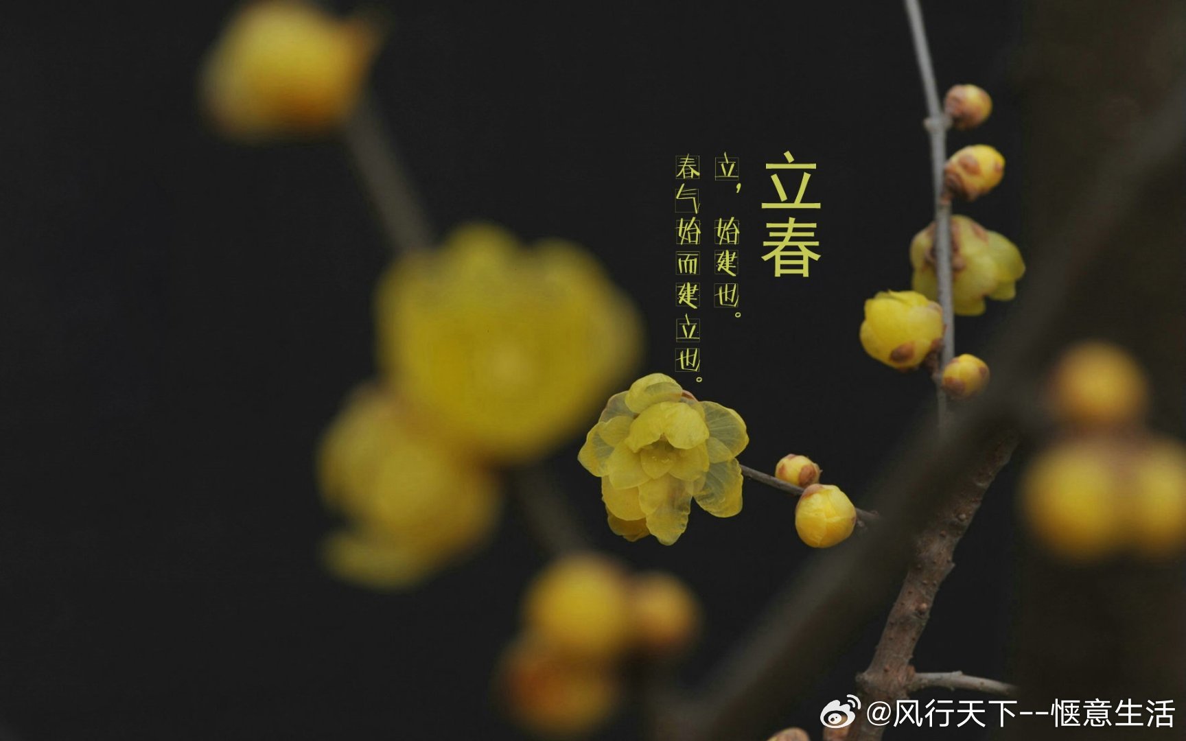 搜狐订阅：2024澳门开奖结果查询-立春是什么意思  第2张