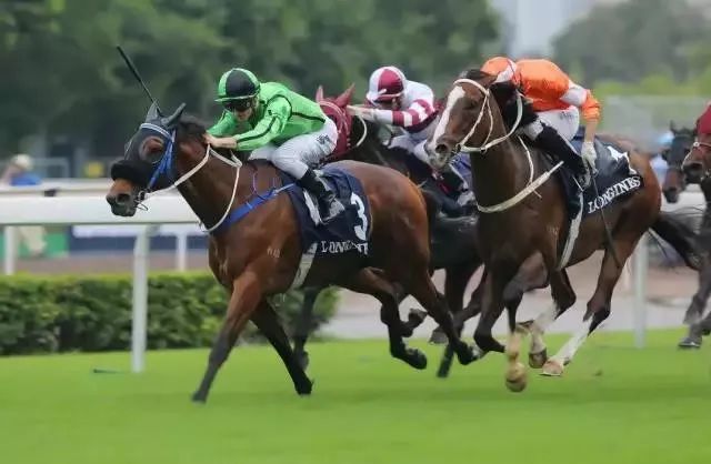 搜狗订阅:香港免费资料大全-什么是深度学习  第2张