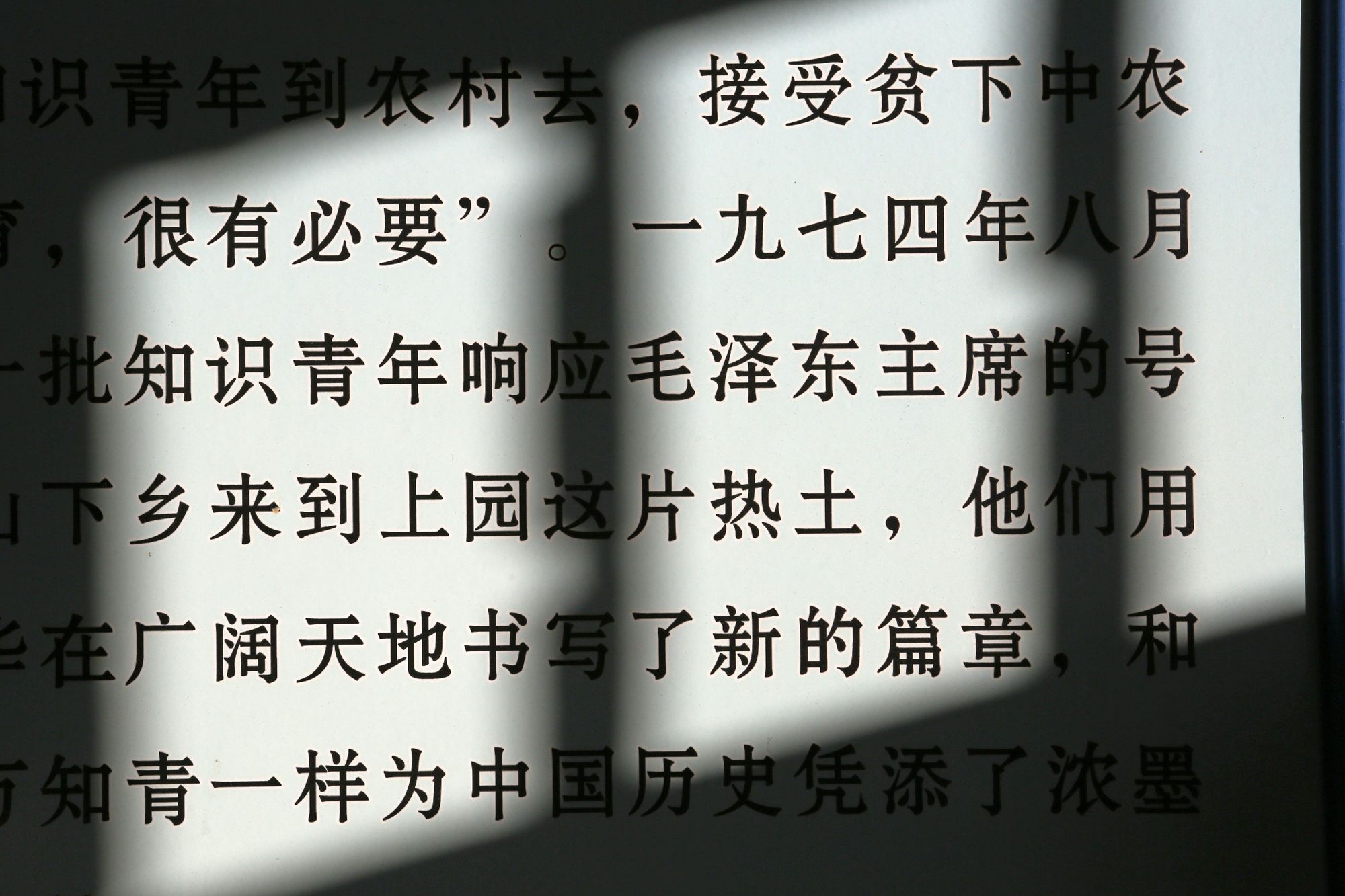 微博订阅:马会澳门正版资料查询-知青是什么意思  第3张