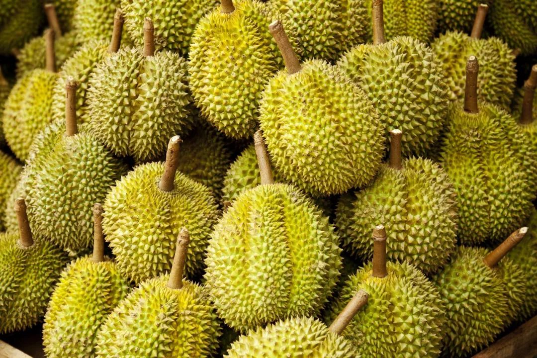 阿里巴巴:澳门4949资料免费大全-榴莲不能和什么同吃  第1张