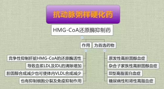 搜狐:新澳彩资料免费资料大全-甲胎蛋白是什么意思  第2张