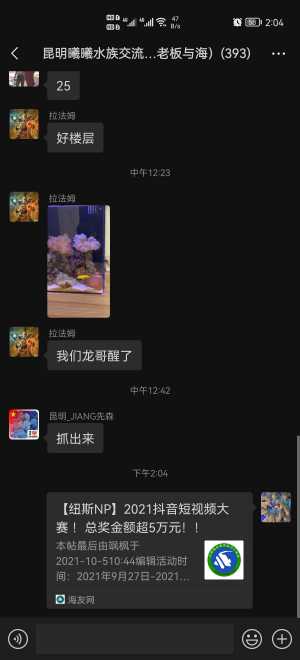 抖音视频:新奥资料免费精准-said是什么意思  第1张