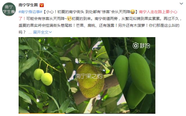 微博:新澳门免费资料大全精准版-鳄梨是什么水果  第1张