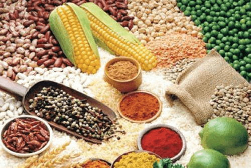 腾讯：2024年澳门今晚开奖号码-补血吃什么食物最好  第1张