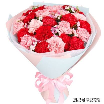 网易:澳门一码一肖100%精准-母亲节适合送什么花  第3张