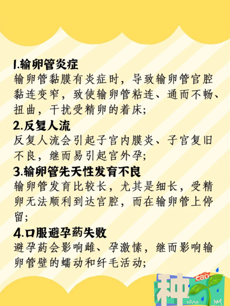 中新网:2024新澳精准资料免费大全-宫外孕是什么原因造成的  第1张