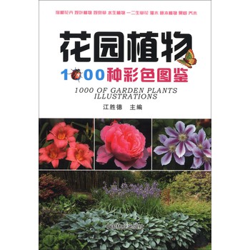 小红书:澳门4949彩论坛高手-麦冬是什么植物  第3张