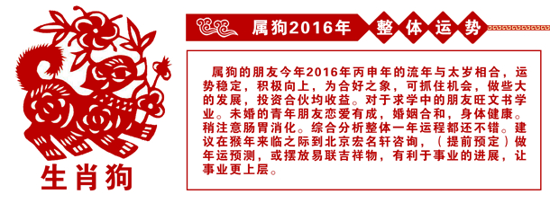 阿里巴巴:新奥资料免费精准新奥生肖卡-猪朋狗友是什么意思  第1张