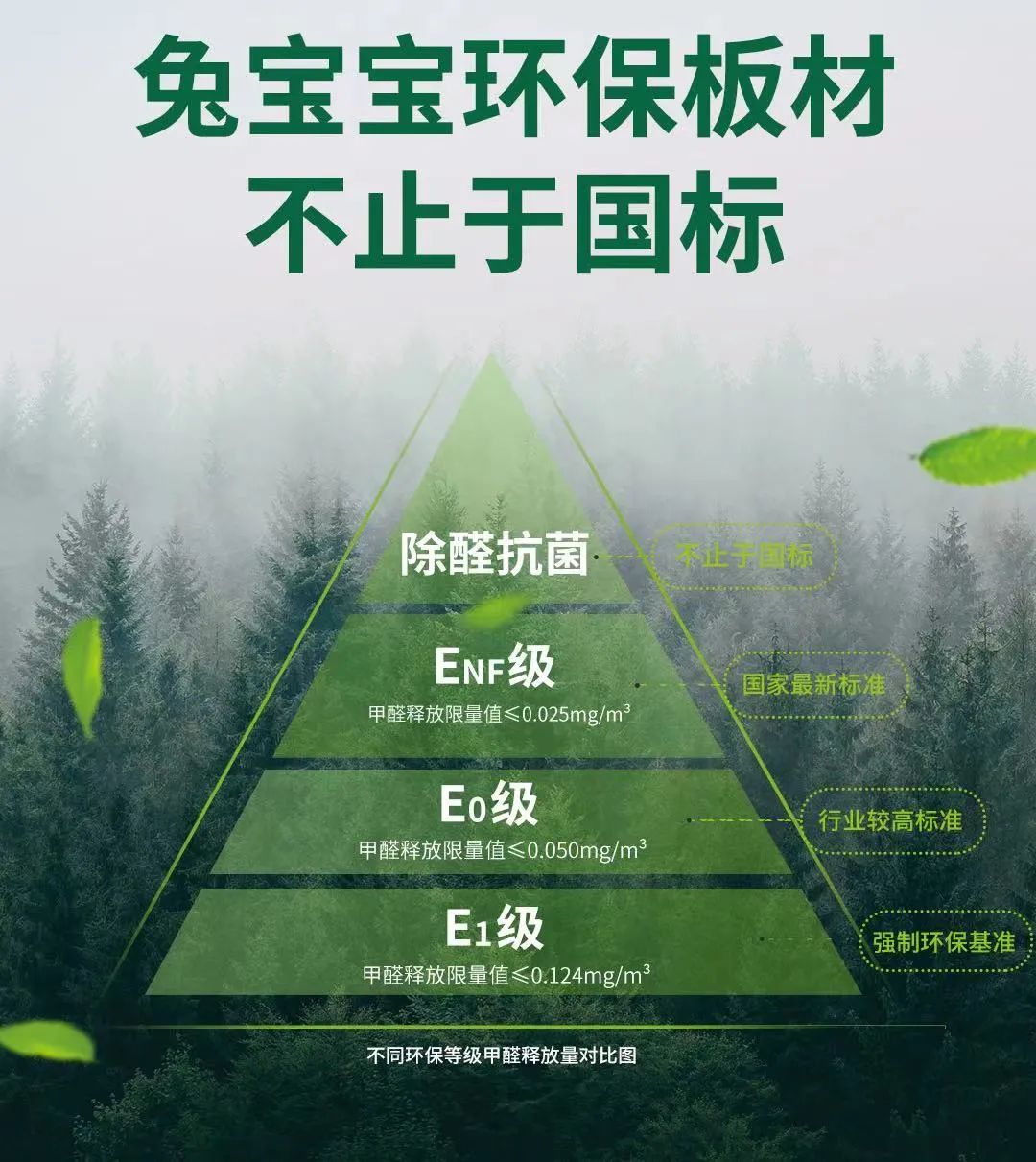 阿里巴巴:新澳门资料大全正版资料2024年免费下载-什么的柳枝  第1张