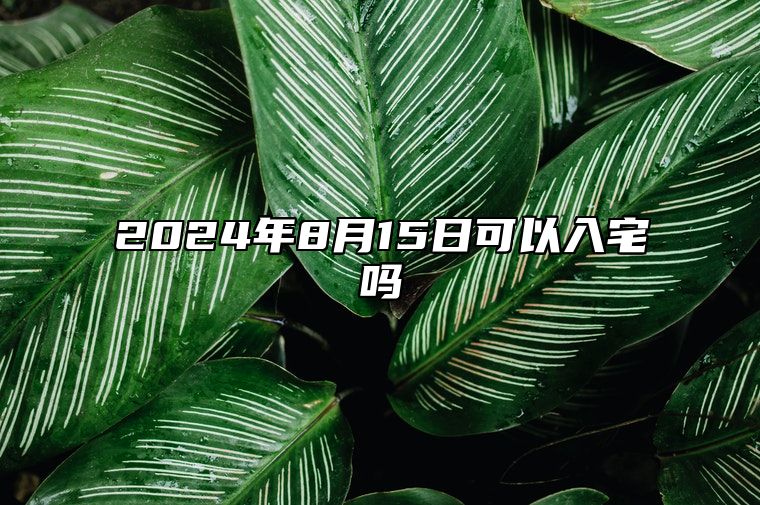 阿里巴巴:2024年新澳门必开32期一肖-粽叶是什么植物  第3张