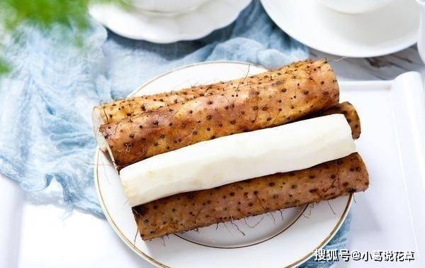 知乎：新澳好彩免费资料查询-吃山药有什么好处  第1张