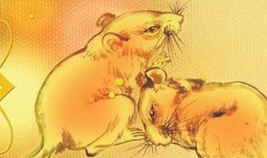 知乎：今晚必中一码一肖澳门-十二生肖为什么没有猫  第1张