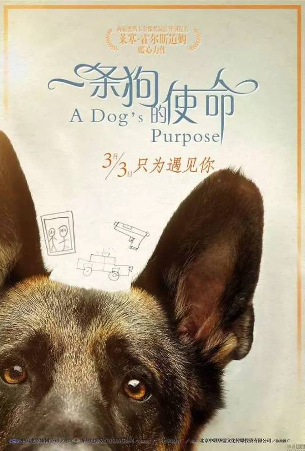 搜狐:新澳精准资料免费提供-狗喜欢什么颜色  第1张